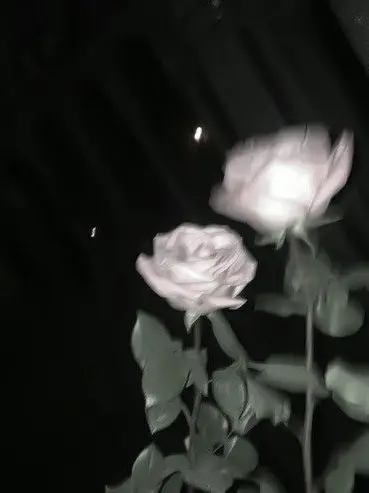 MatteBasil3317의 ハイキュー 殺し屋パロ