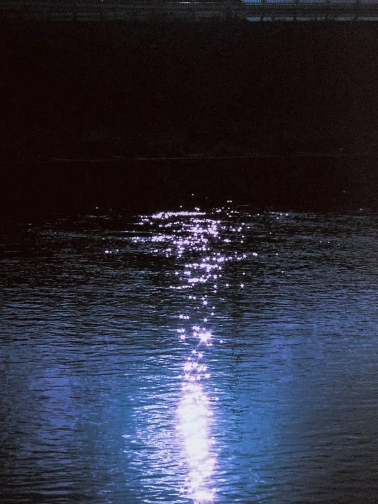 Dallamuge의 真夜中の大食漢