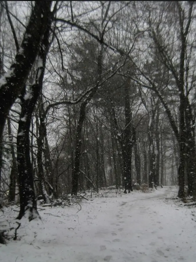 LuL.blanket2의 나무꾼과 호랑이