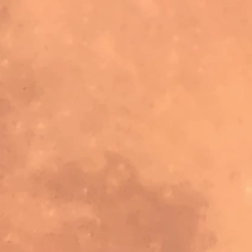 HarshFresh1756의 상어 젬님