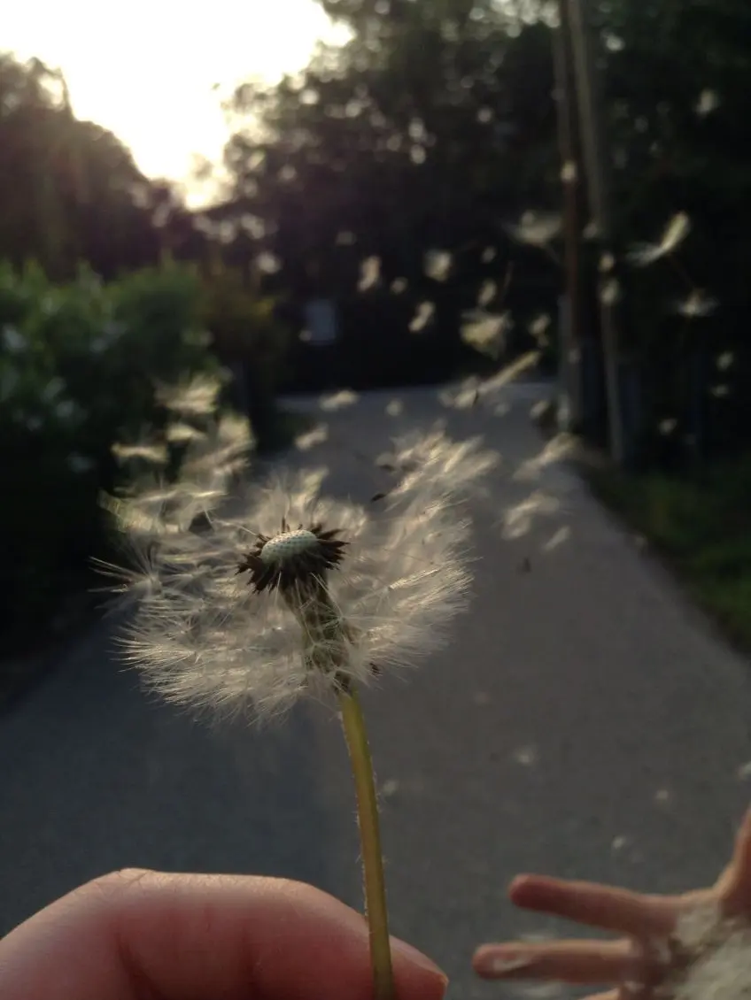 Karina_0910의 유지민