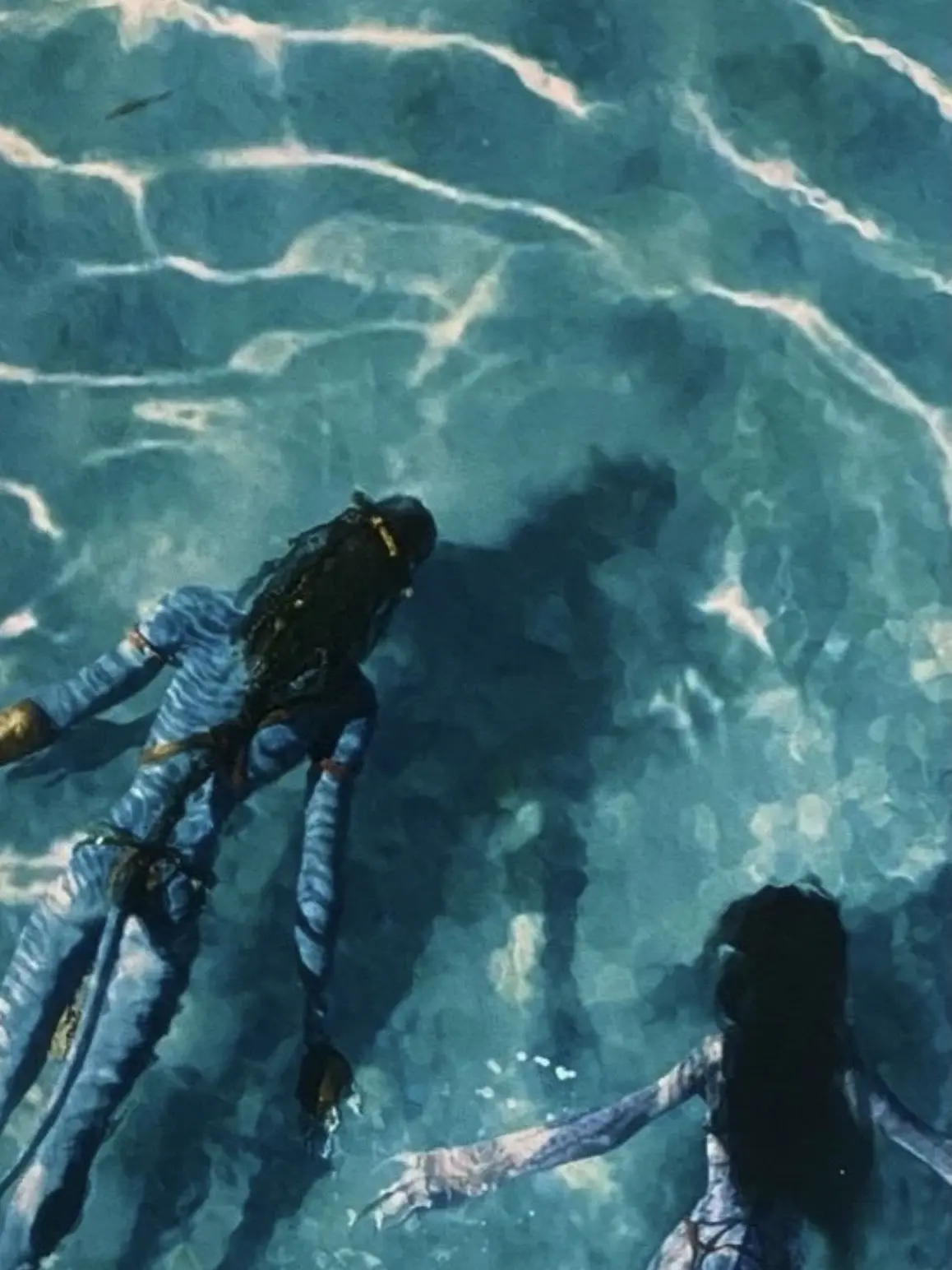 QuietBaya9871의 Avatar- the way of the water 🌊🐬🌅
