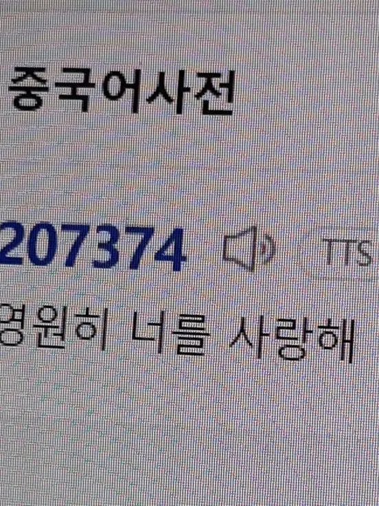 RowdyCat5823의 ” 영원히 너를 사랑해. “