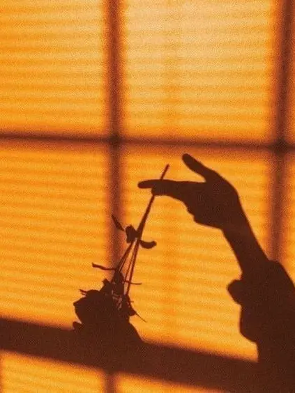 CattyOasis8167의 패러다이스 밴드부