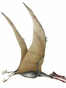 but-I-am-Pteranodon의 악입문(교사진 추가ㄱㄱㄱ)