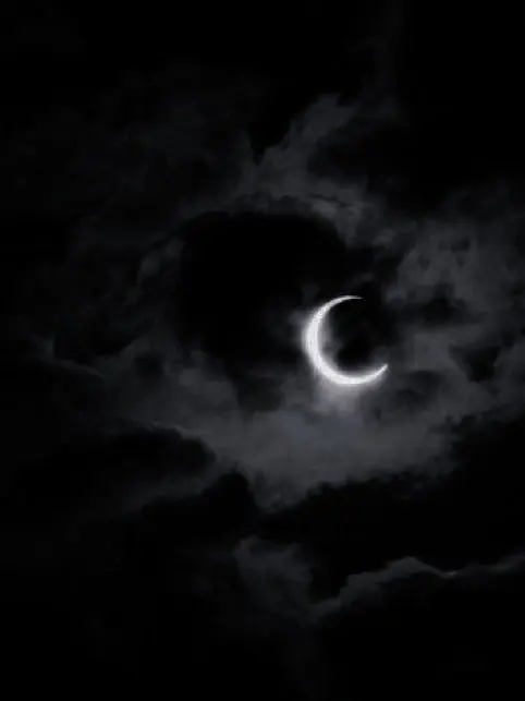 ll99330의 모든 것은 당신으로부터 시작된거지.