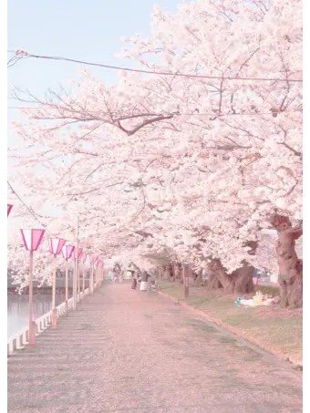 JoyfulGrape9739의 오비스트들과 여행