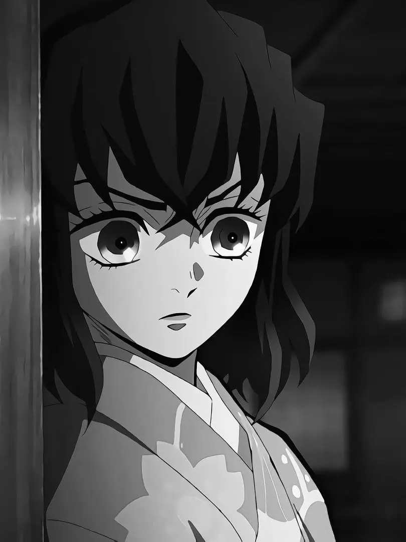 StormyTrack7739의 하시비라 이노스케