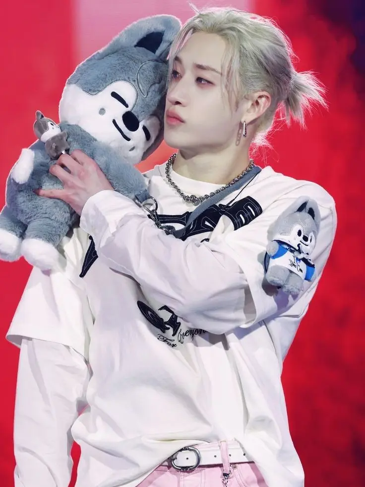 BarrenFez7949의 Bang Chan Idol