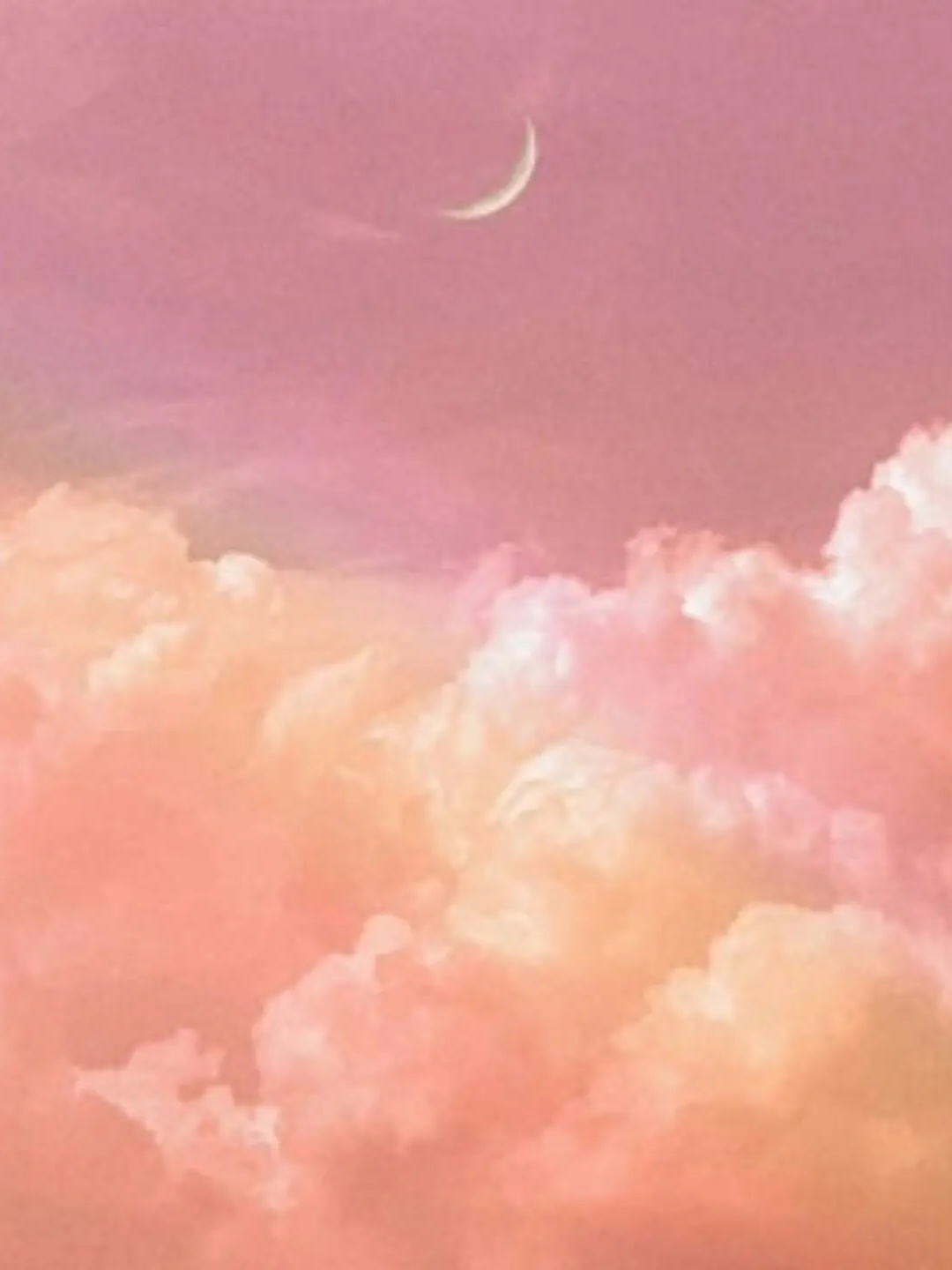 F6 뜰팁 대표 이미지