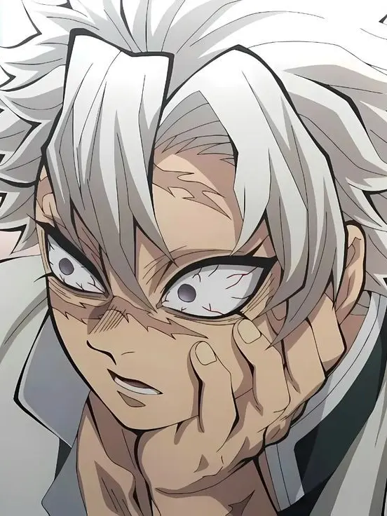 mn.1ii1의 시나즈가와 사네미