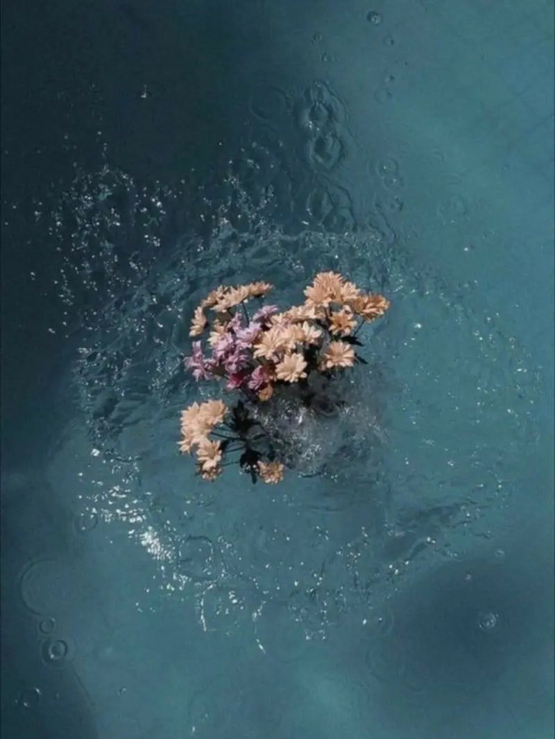 Paradies_here의 ㅤ