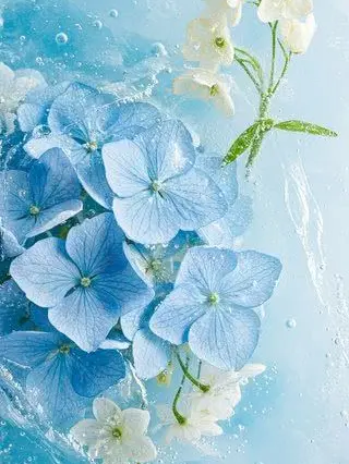PinkSnack4538의 偽物家族