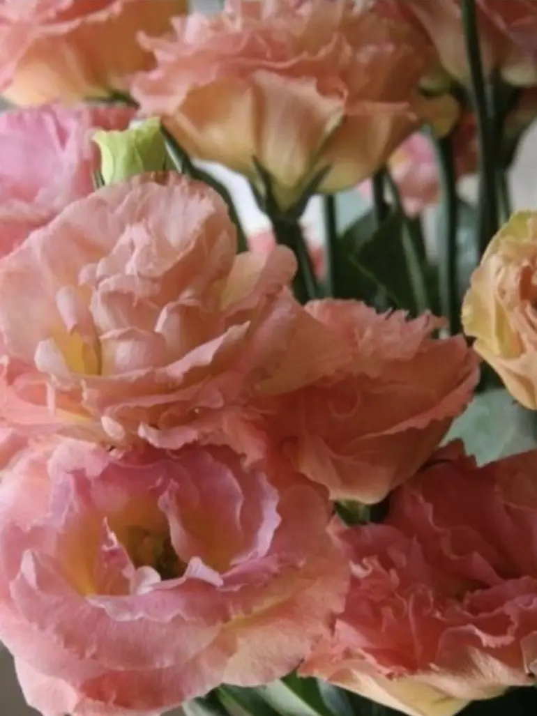 Menhera_08의 [AU] 한번 잡아보라고.