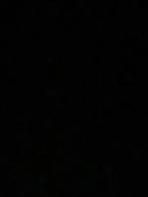 SoggyHelm8816의 막내의 뒤늦은 사춘기