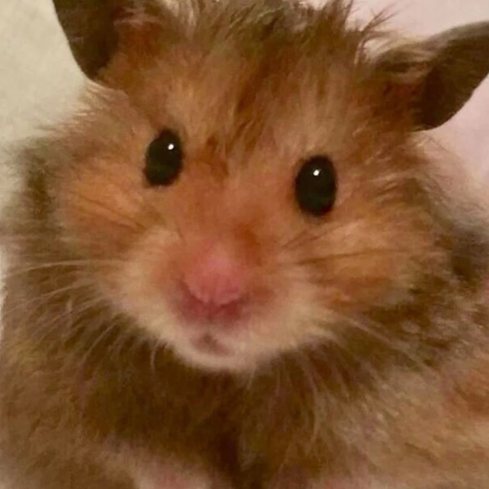 清楚男子に片思いされてます。