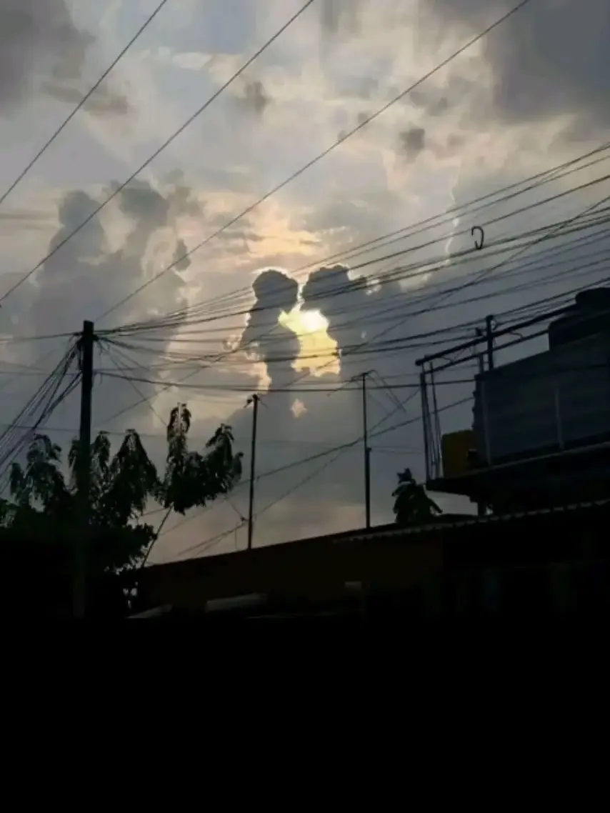 SlimyHeron4990의 またこのトリオです