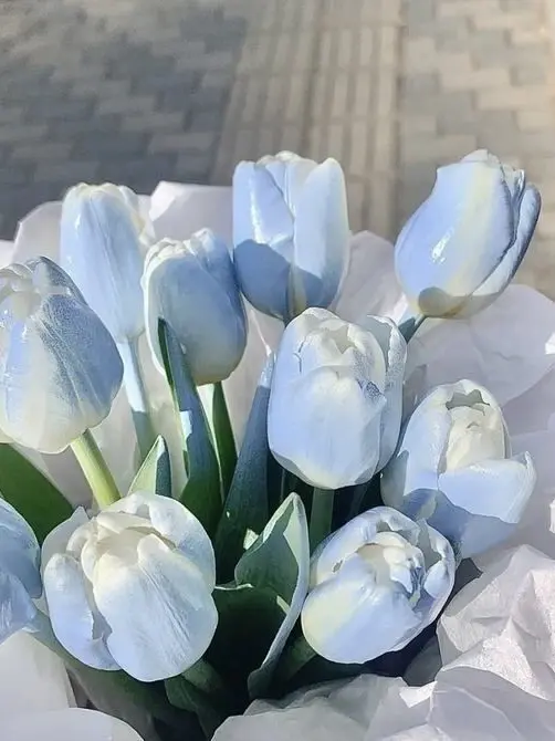 love_13의 °☆•パラダイス病院•☆°