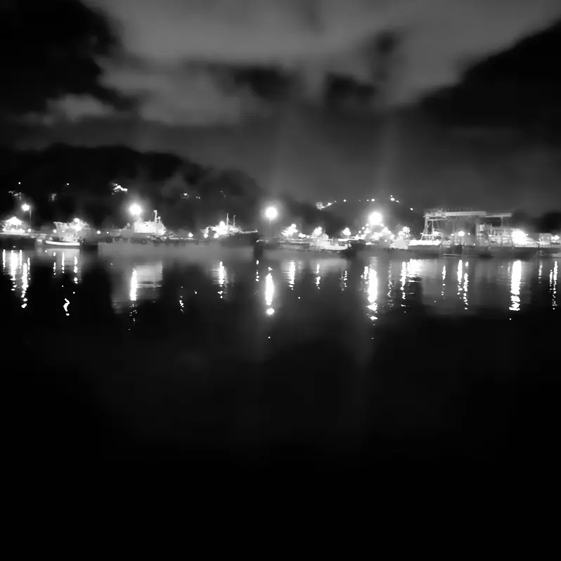 NICKNAME7552의 眞狼