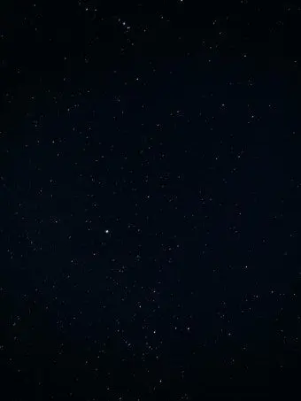 LeanQuilt2738의 The Last Of Us[디비전]