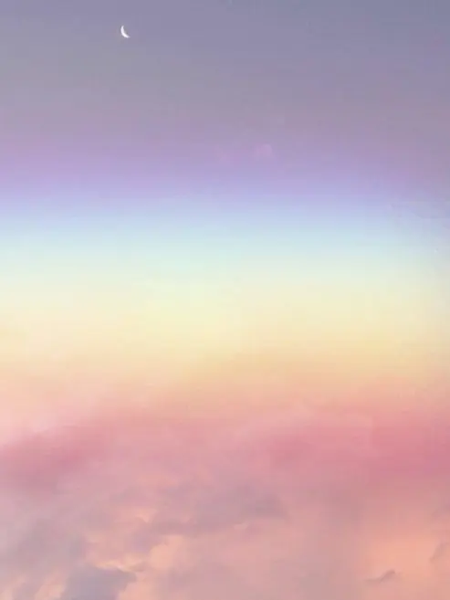 Vyooxbx의 호위 기사들