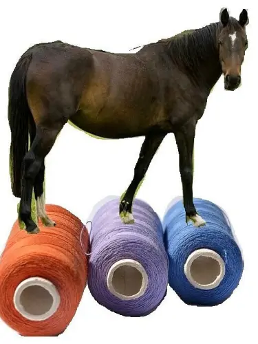 Song_ks의 비스트학교에 여우5명이 전학왔다...