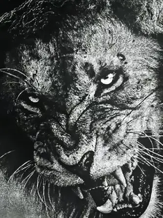 Rosekun의 中世時代の支配的親子