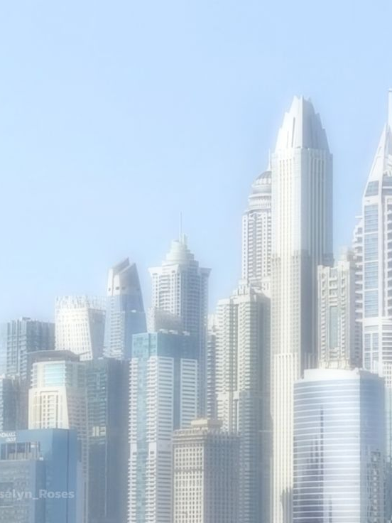 플브물산 대표 이미지