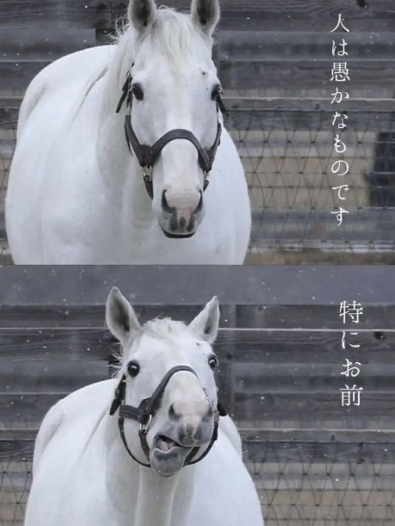 LoudPie2653의 男嫌いのあの子