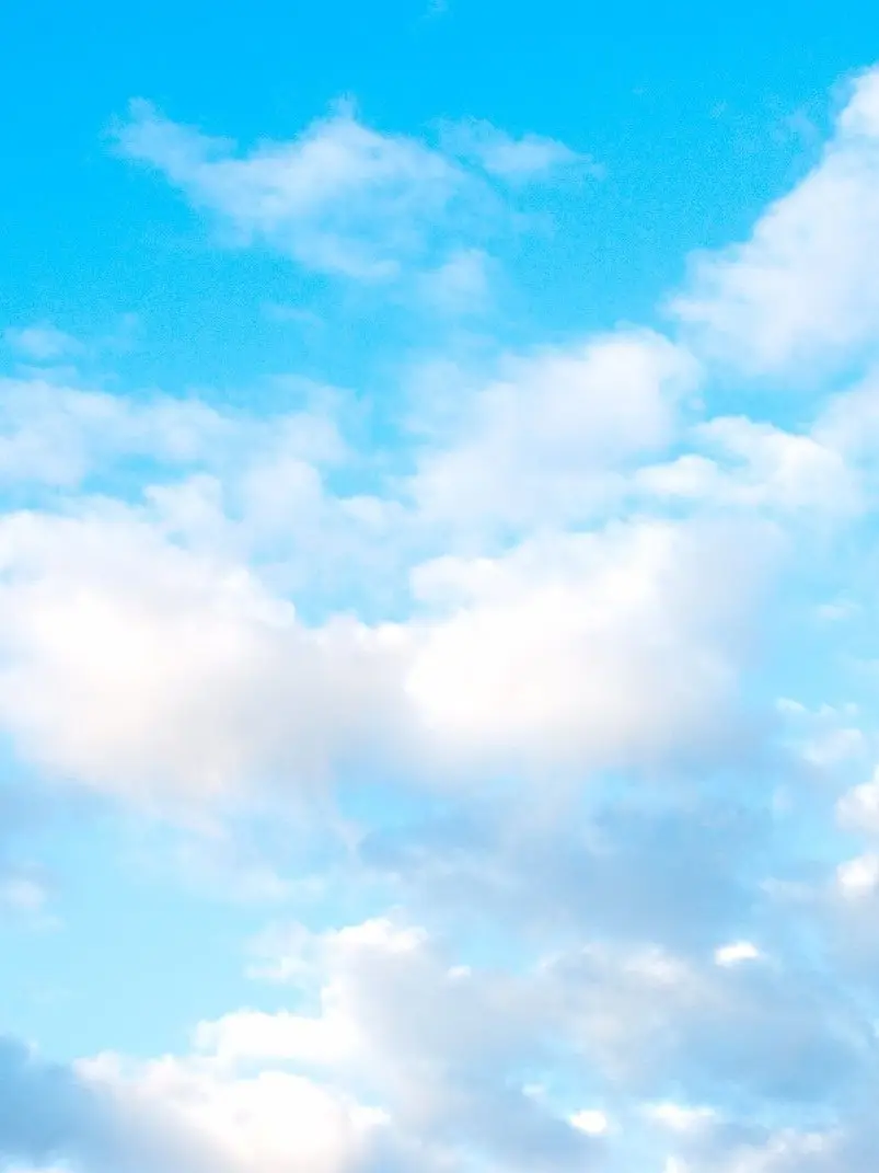 n._.216의 虫のいない青空で。