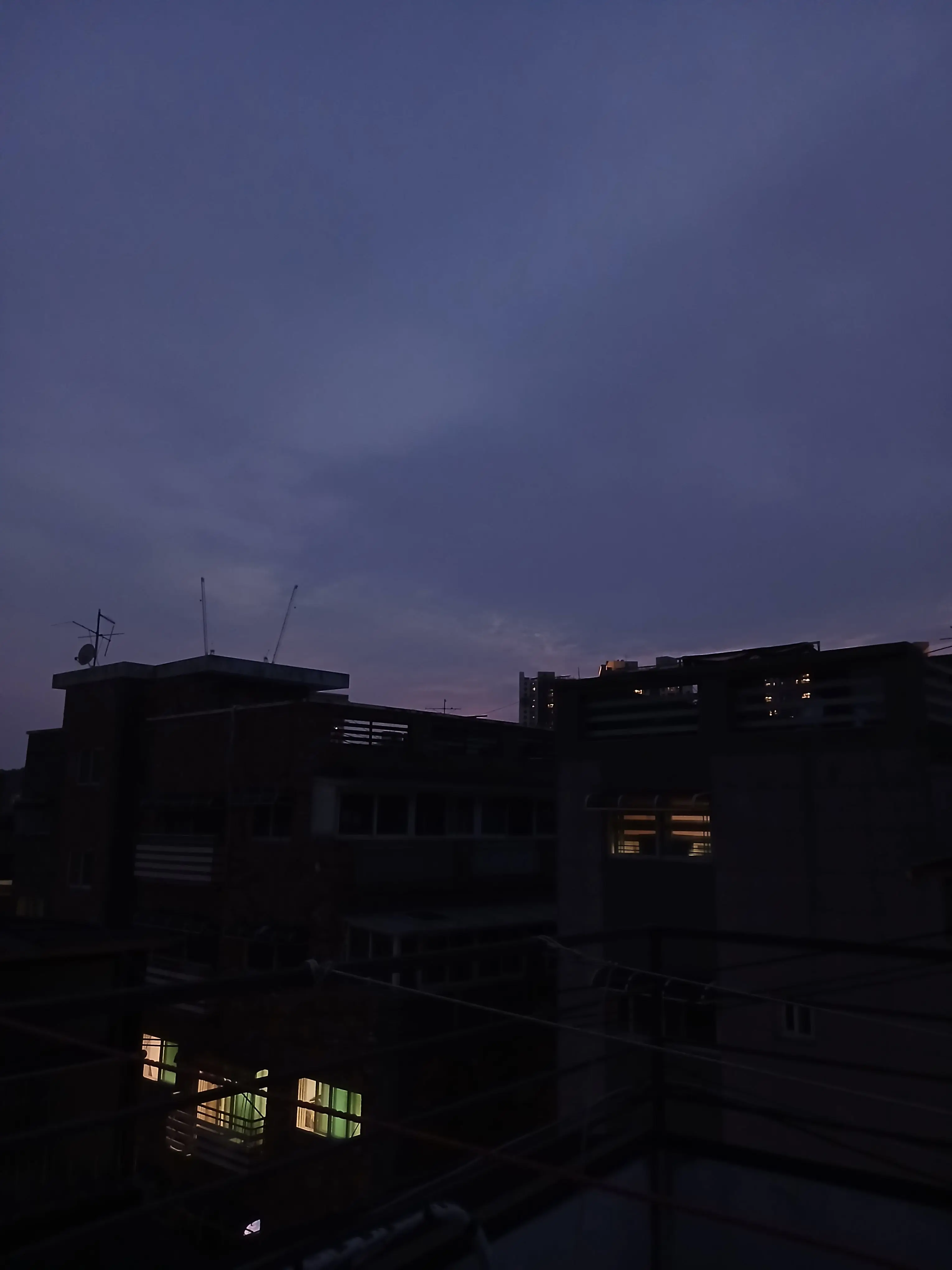 11.11_tipu_의 조금만 더 살아봐볼까나 .