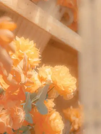 milk_jam의 こぐま さん .