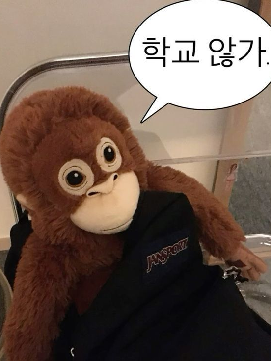 만들거 추천받아요😊 대표 이미지