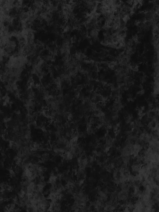 RipeChalk2301의 声優たちと私