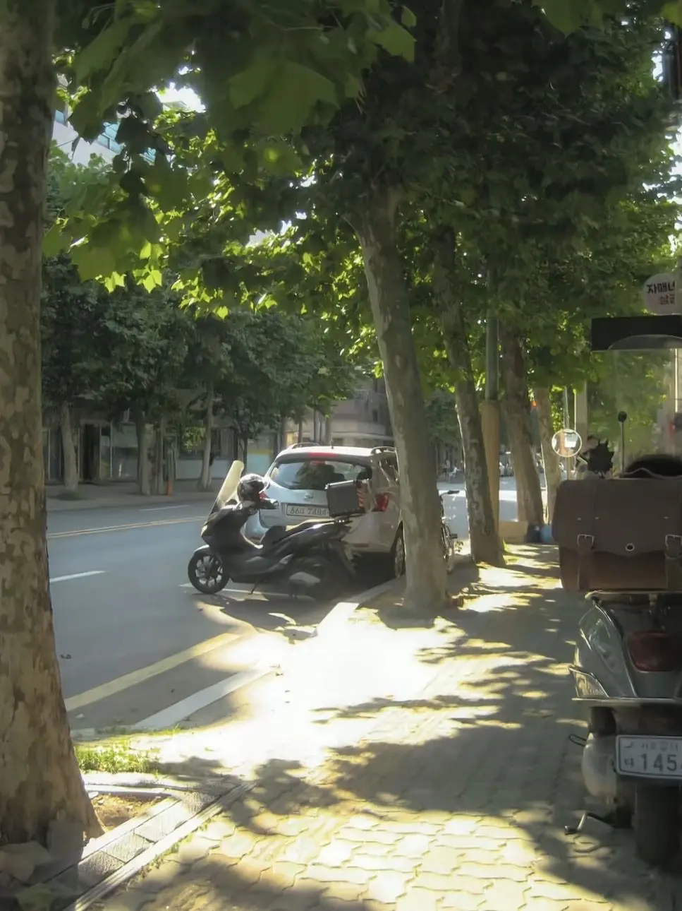 ShortArco3511의 강연호,윤지윤,김채민