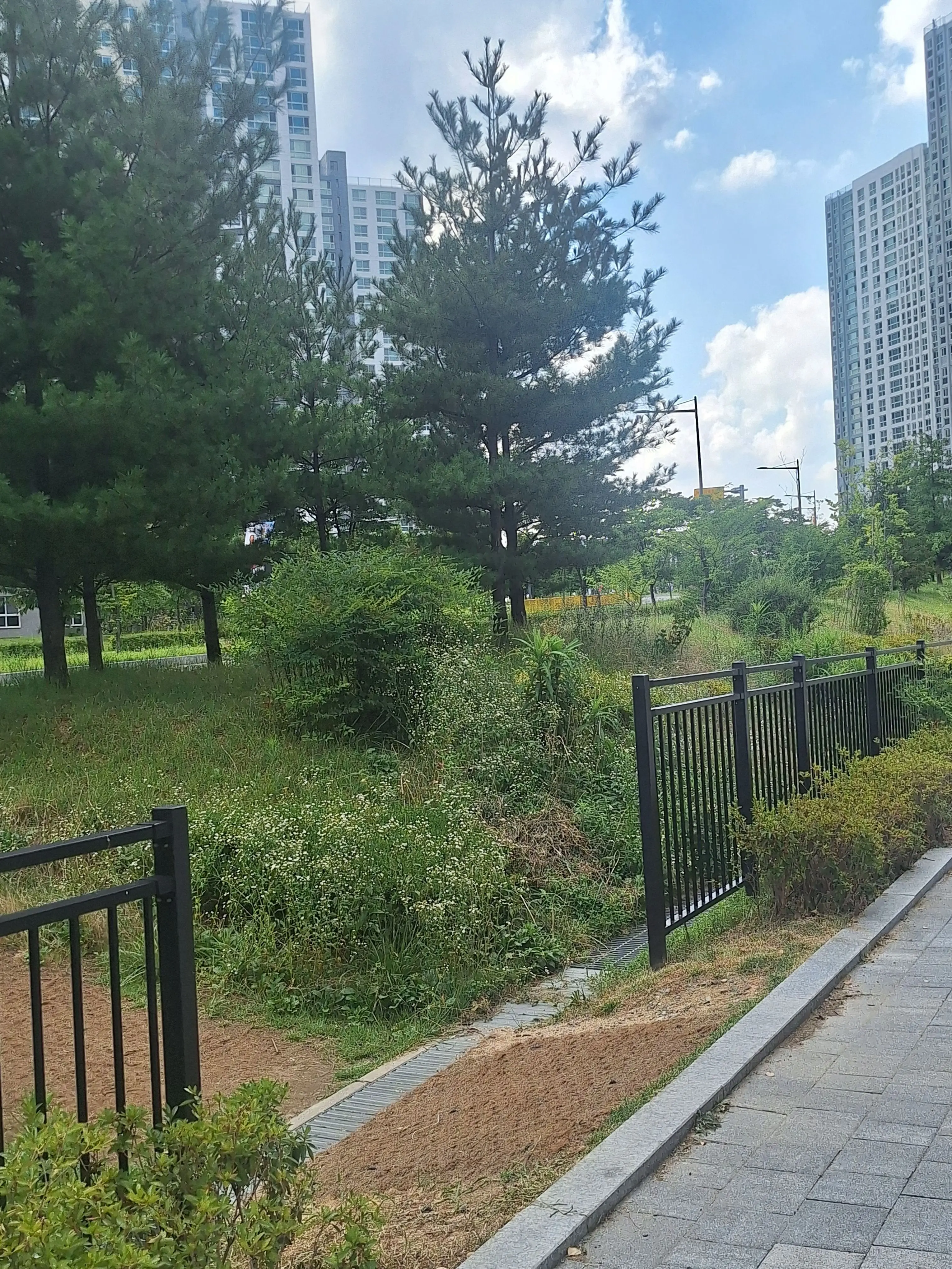 CoralXerus4702의 주인장 자캐 세계관 2탄