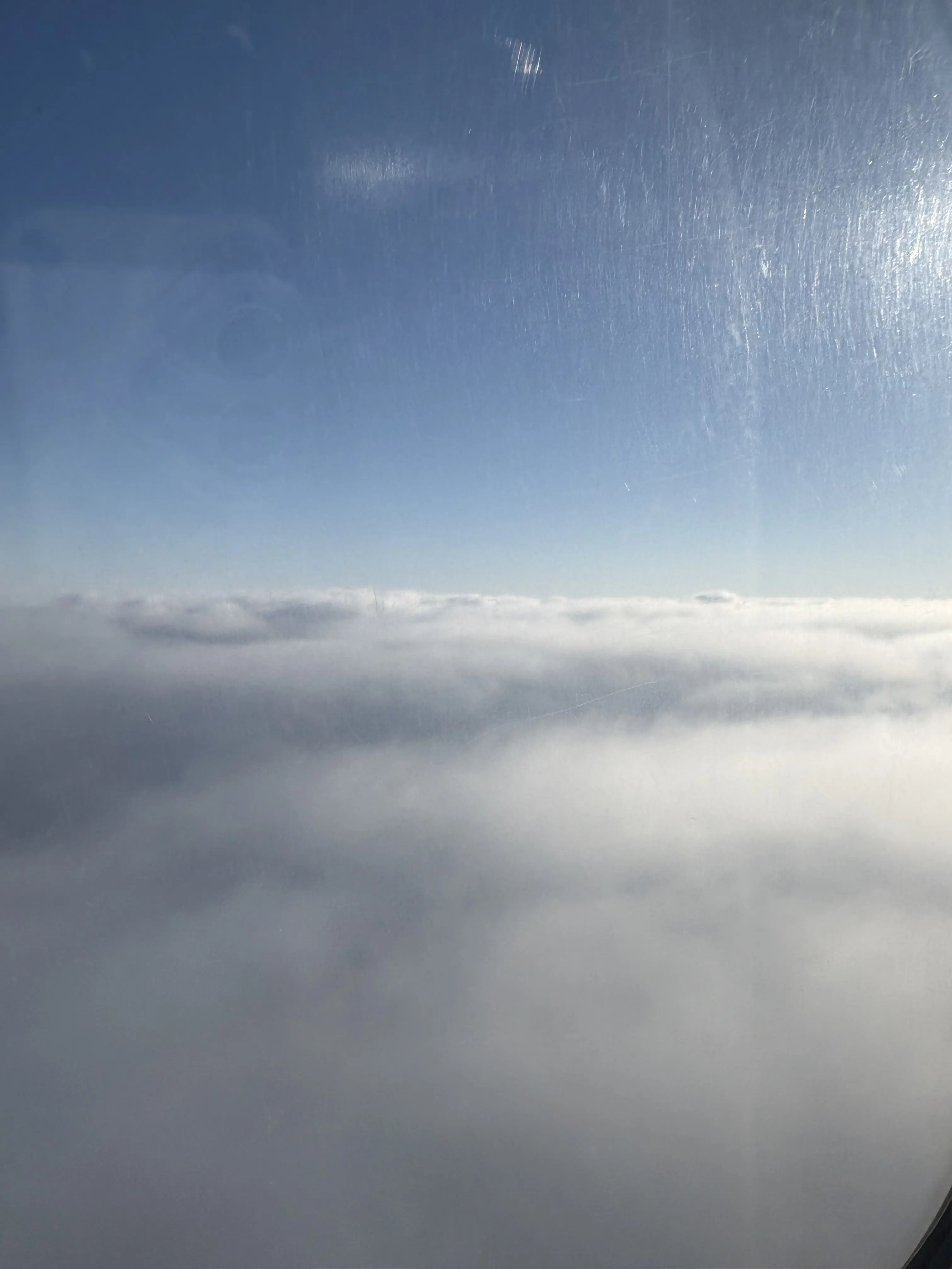 fxxk_you_dogkeone의 김지웅에게 러브초콜릿을 먹여보자!