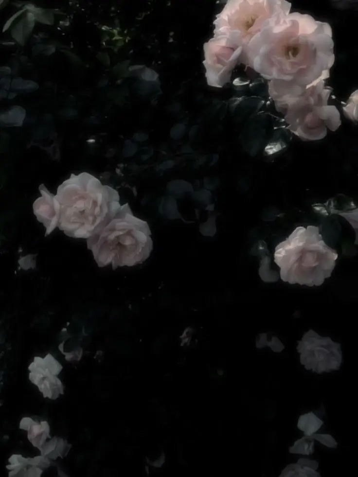 Para.Revol.pix의 패러다이스 조직 2