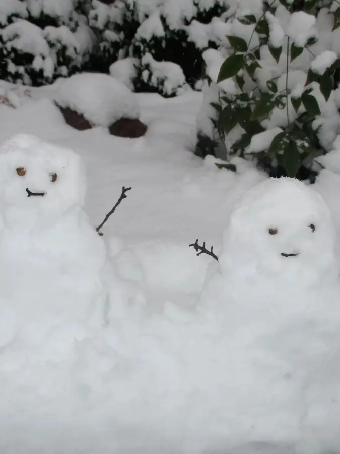 Stop_b_reating의 바보같이 해맑은 JTF2 저격수