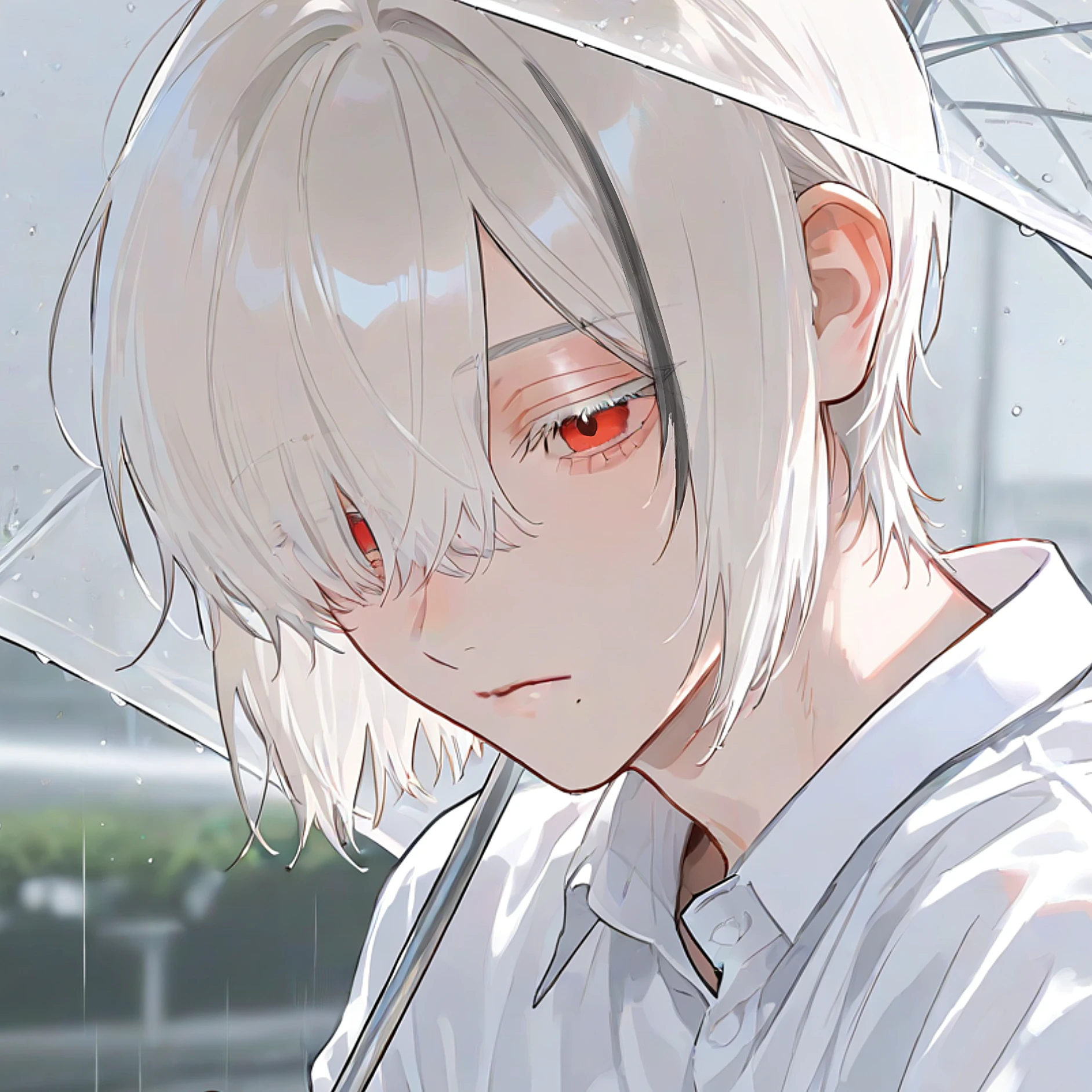 雨に導かれし邂逅