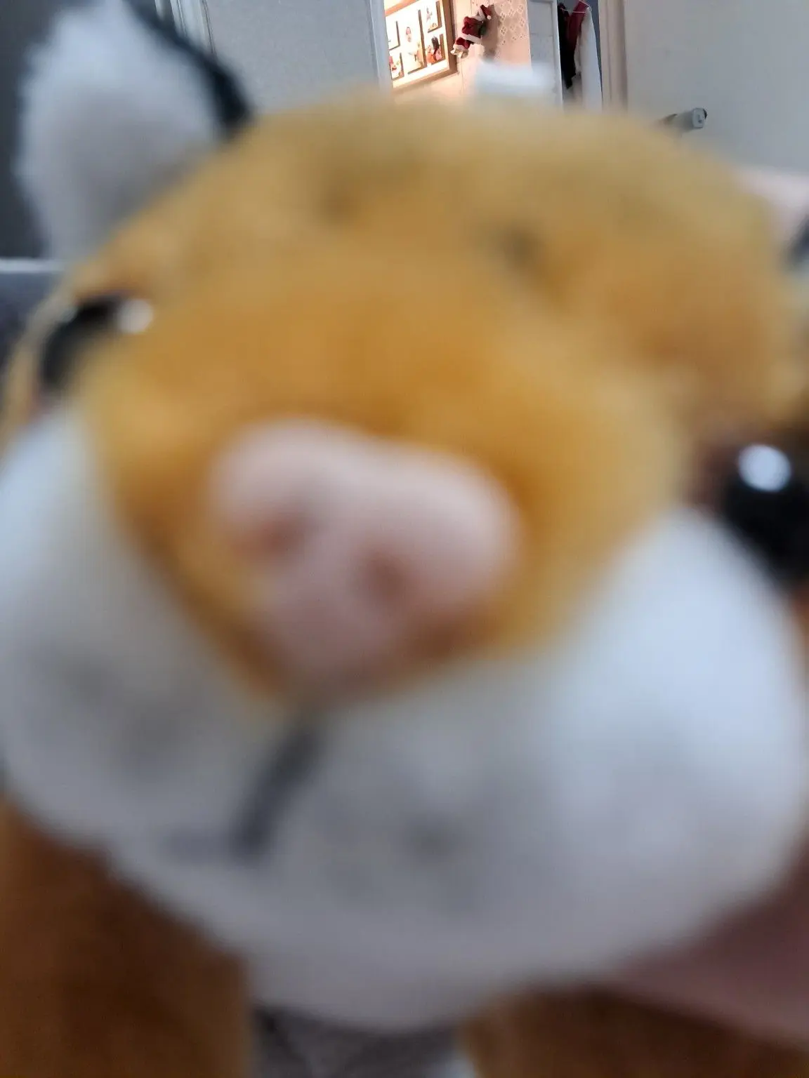 CrispyBrake8617의 ʚ수인ɞ 6반 칭구들