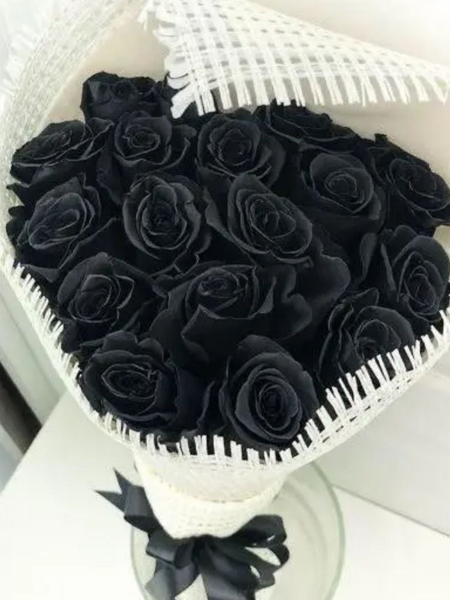 팀샐러드 티어버스+여우 대표 이미지