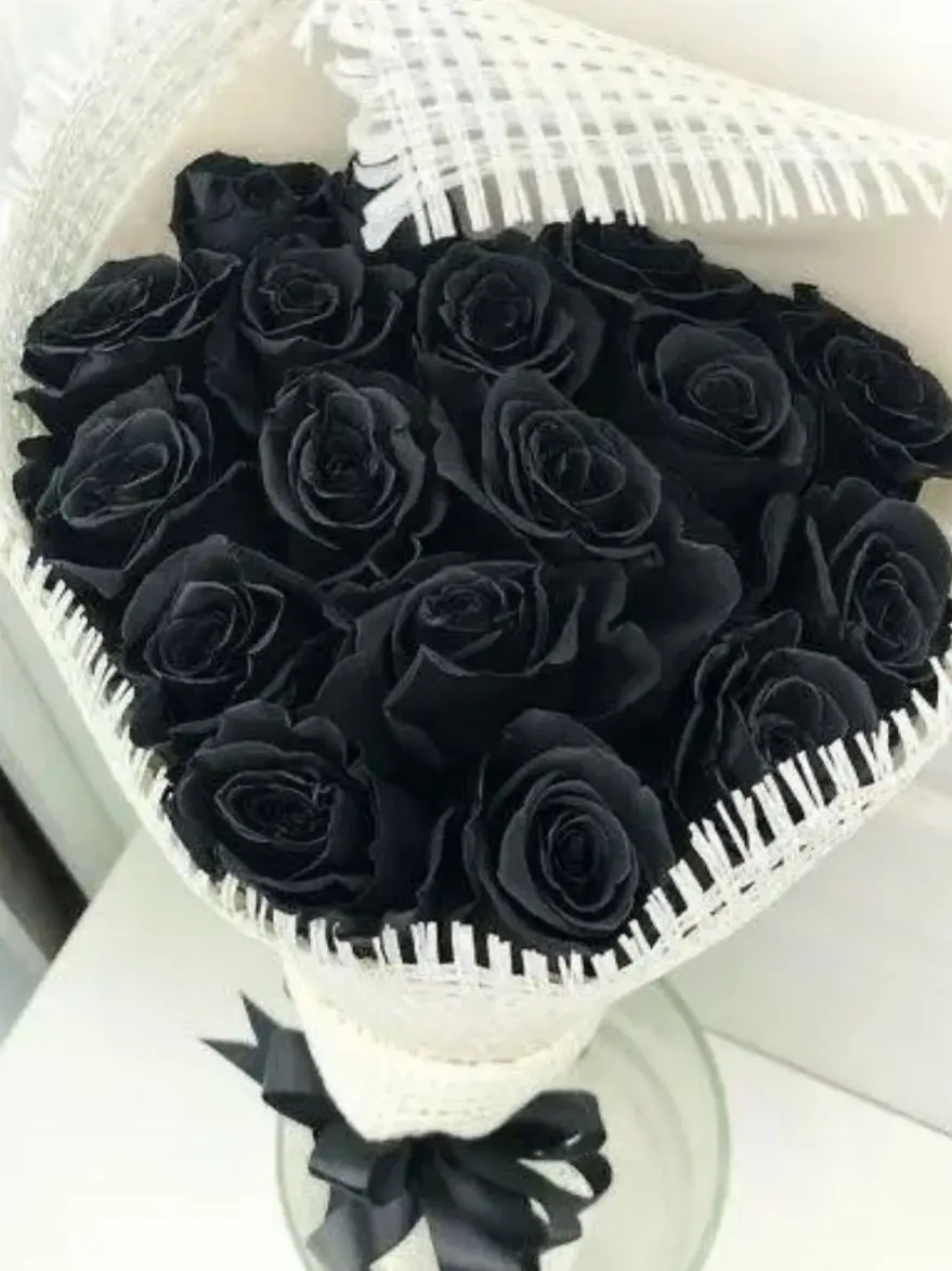 Eunding의 팀샐러드 티어버스+여우