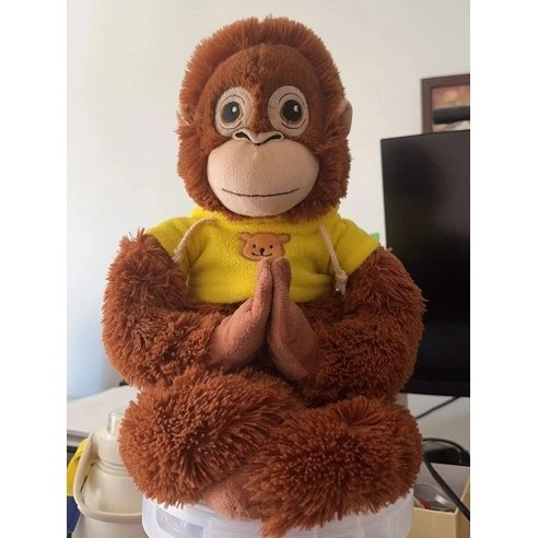 우랑이의 친구