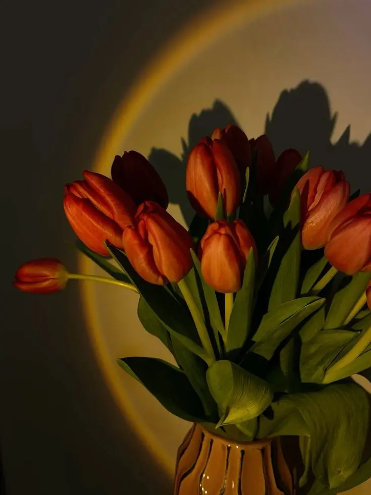 dpxnp의 소리없는 사랑