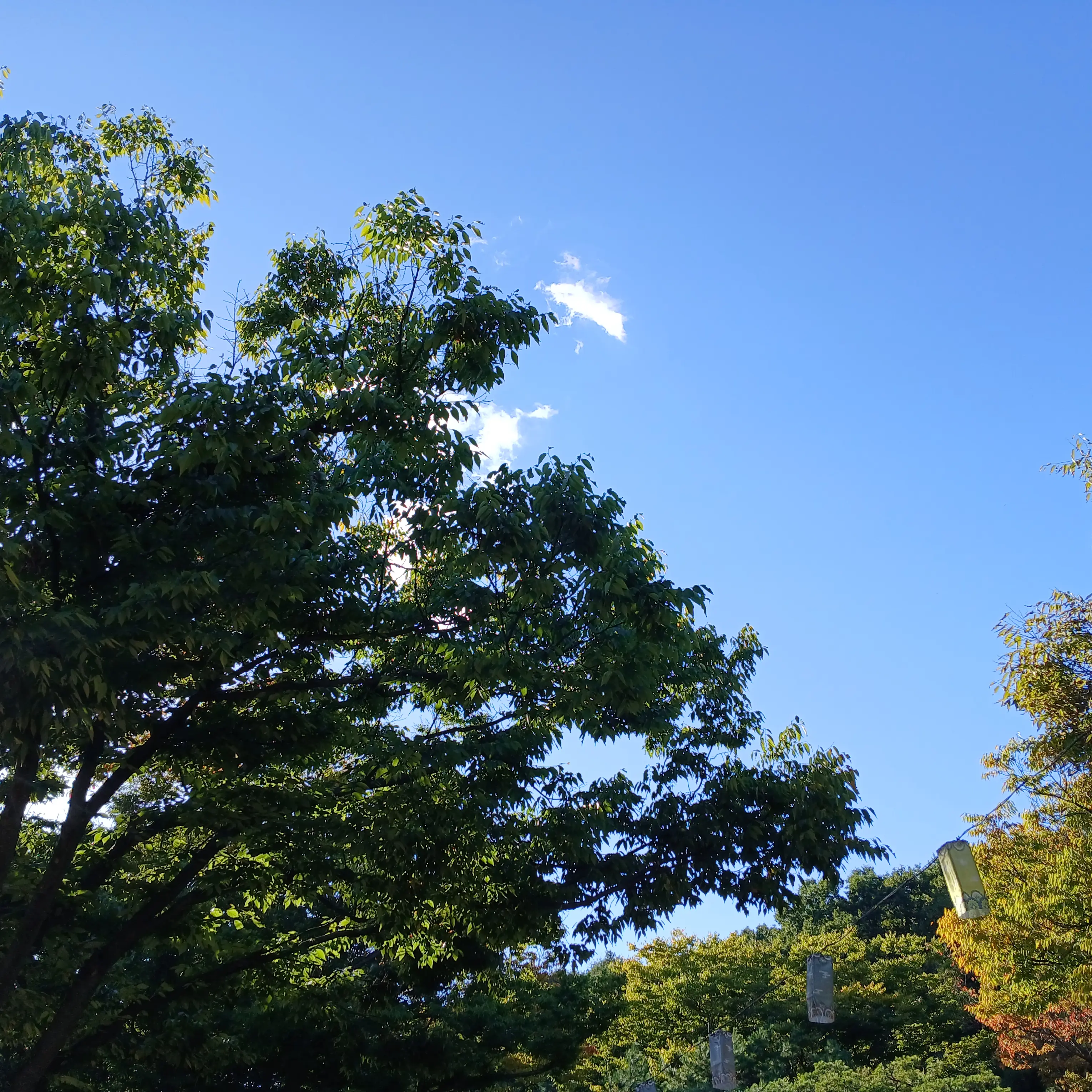 Nu0002의 공지 입니다.