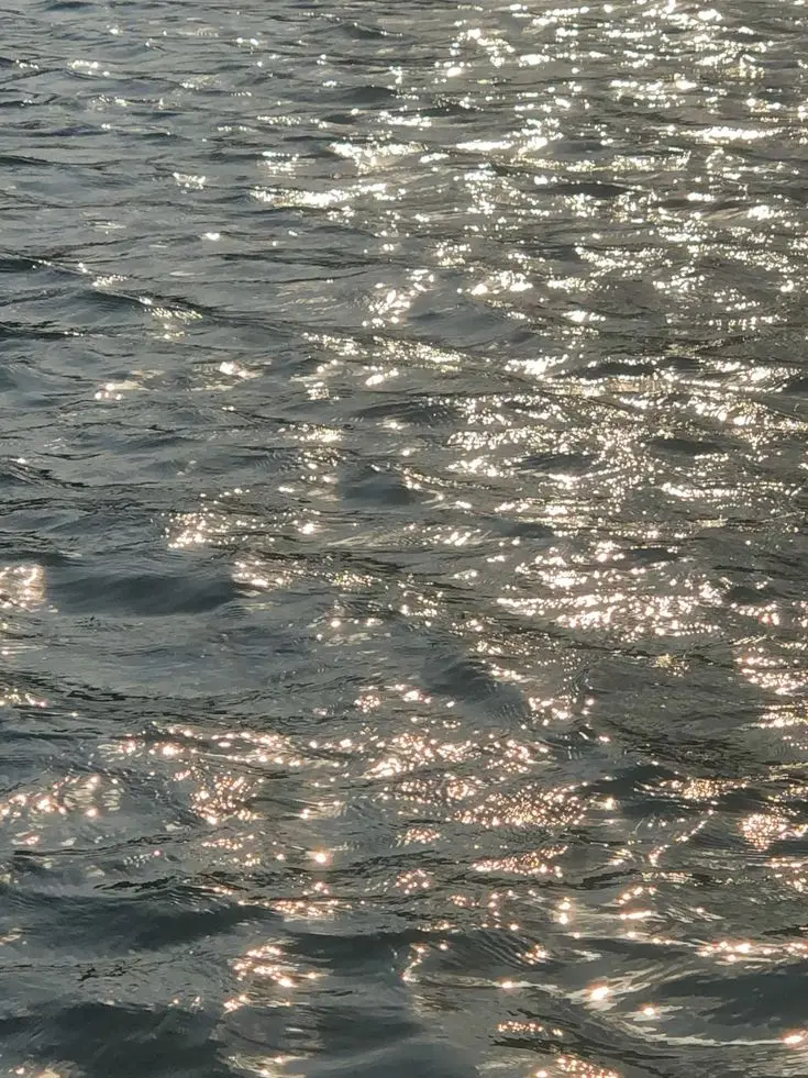 Kaaaak의 수사 2팀