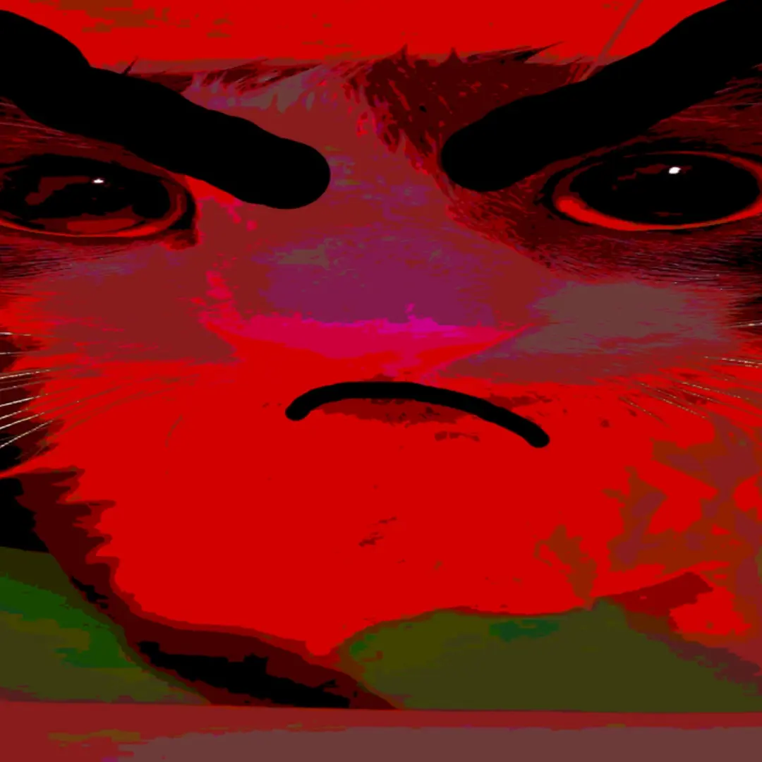 BentMud4620의 앵그리고양이