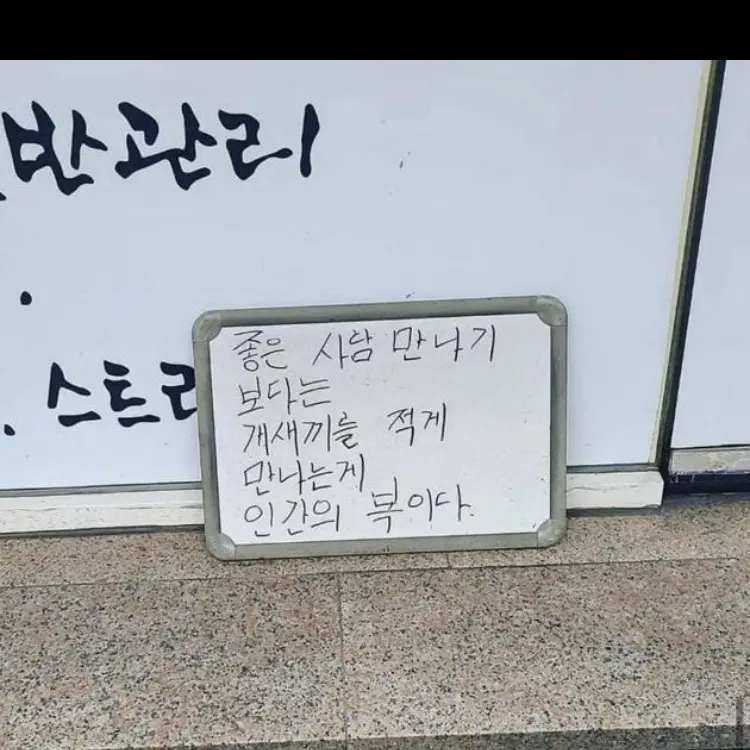 RonaLee0909의 등록하지말았어야했는데