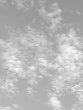 Sugar_Each의 낙원 공방 탈출기